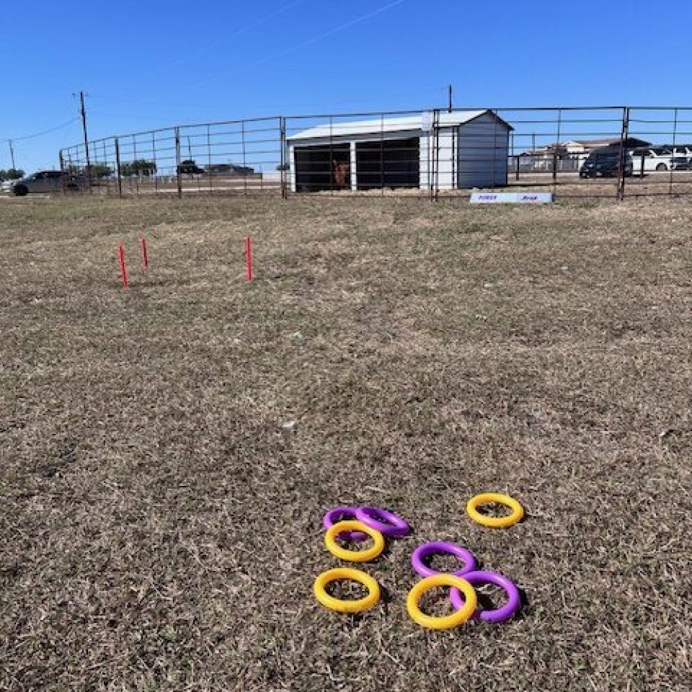Ring Toss