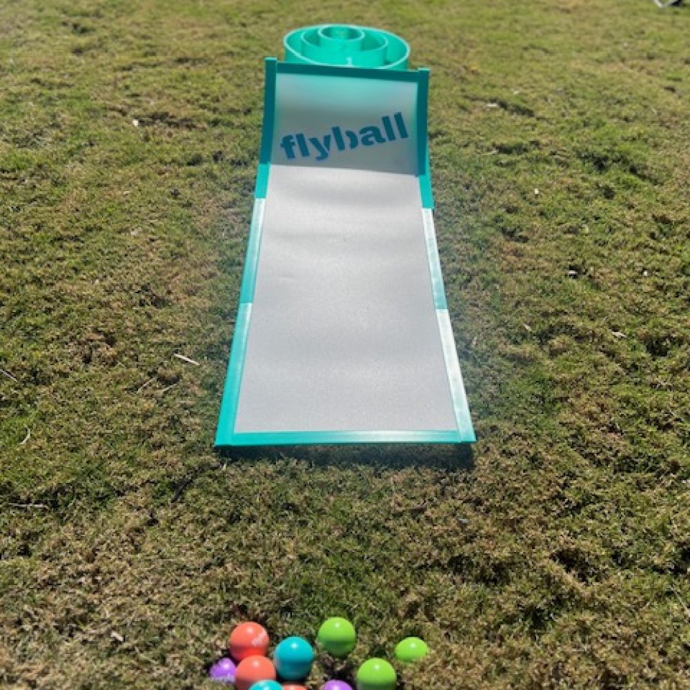 Flyball