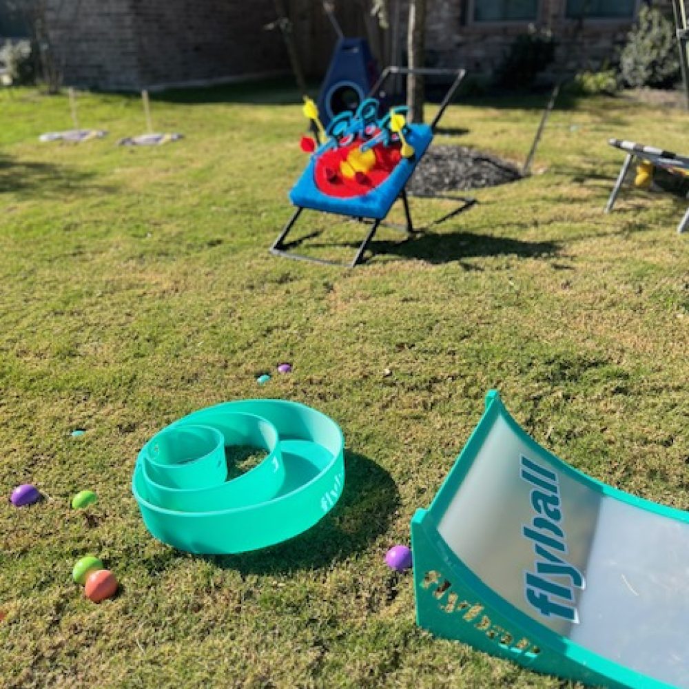Dart/Axe Throwing & Flyball